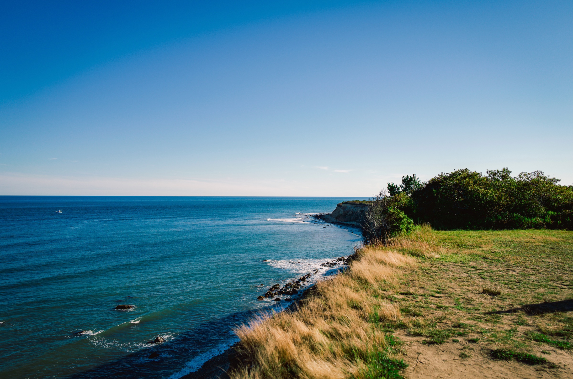 Blue coastline and grass at Montauk.