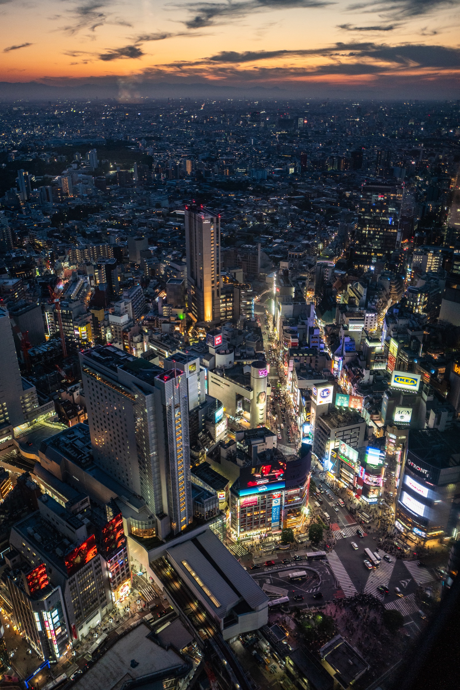 Tokyo city lights from above at dusk.